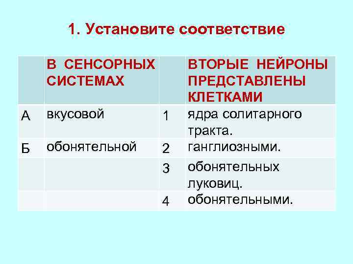 1. Установите соответствие В СЕНСОРНЫХ СИСТЕМАХ А вкусовой 1 Б обонятельной 2 3 4