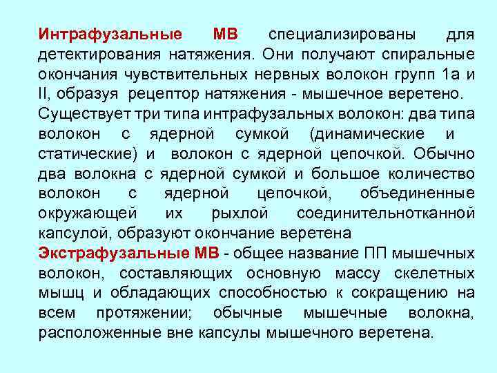Интрафузальные МВ специализированы для детектирования натяжения. Они получают спиральные окончания чувствительных нервных волокон групп