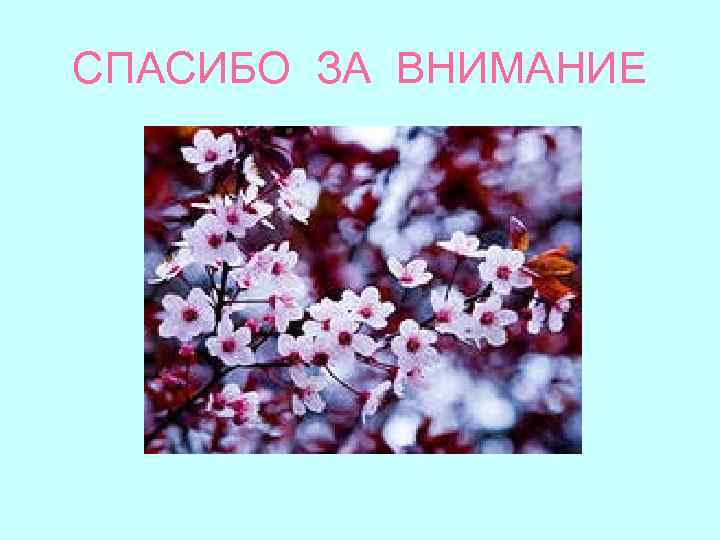 СПАСИБО ЗА ВНИМАНИЕ 