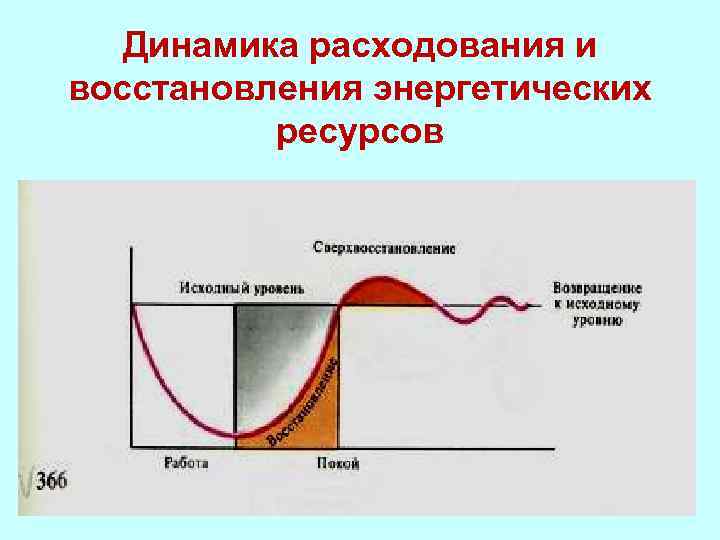 Восстановление энергетического ресурса. Функциональные состояния физиология. Динамика функционального состояния. Энергетическая (восстановление энергетических затрат организма); в). Восстановление энергетических запасов это.