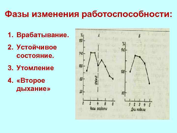 Фазы изменения работоспособности: 1. Врабатывание. 2. Устойчивое состояние. 3. Утомление 4. «Второе дыхание» 