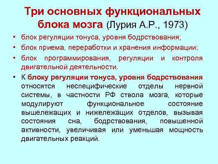 Три основных функциональных блока мозга (Лурия А. Р. , 1973) • блок регуляции тонуса,