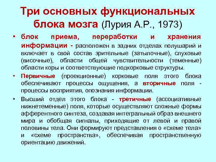 Три основных функциональных блока мозга (Лурия А. Р. , 1973) • блок приема, переработки