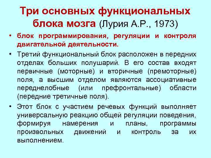 Три основных функциональных блока мозга (Лурия А. Р. , 1973) • блок программирования, регуляции