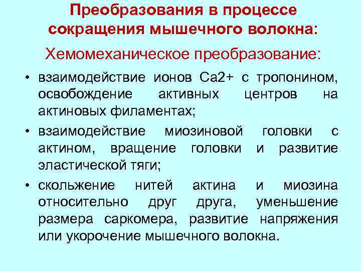 Процесс сокращения. Последовательность сокращения мышечного волокна. Процесс сокращения мышечного волокна. Последовательность процессов мышечного волокна. Хемомеханическое преобразование сокращения мышц физиология.