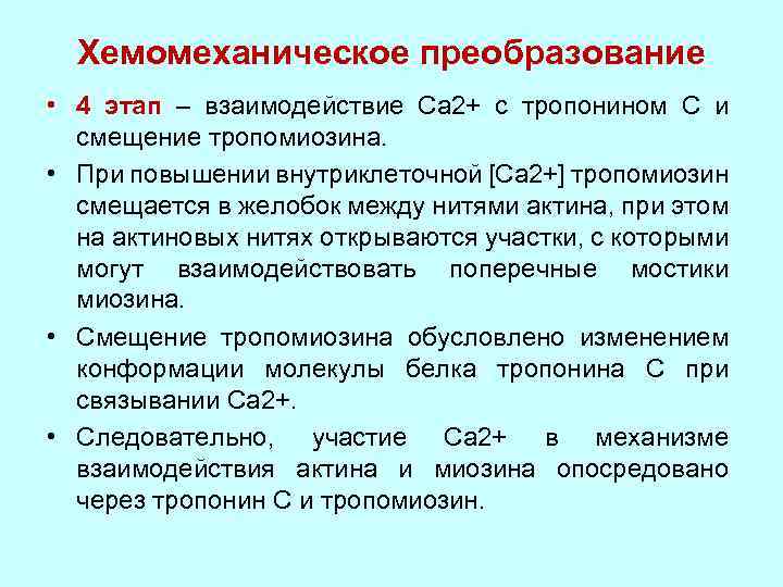 Хемомеханическое преобразование • 4 этап – взаимодействие Са 2+ с тропонином С и смещение