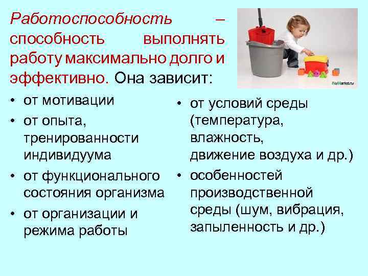 Работоспособность – способность выполнять работу максимально долго и эффективно. Она зависит: • от мотивации