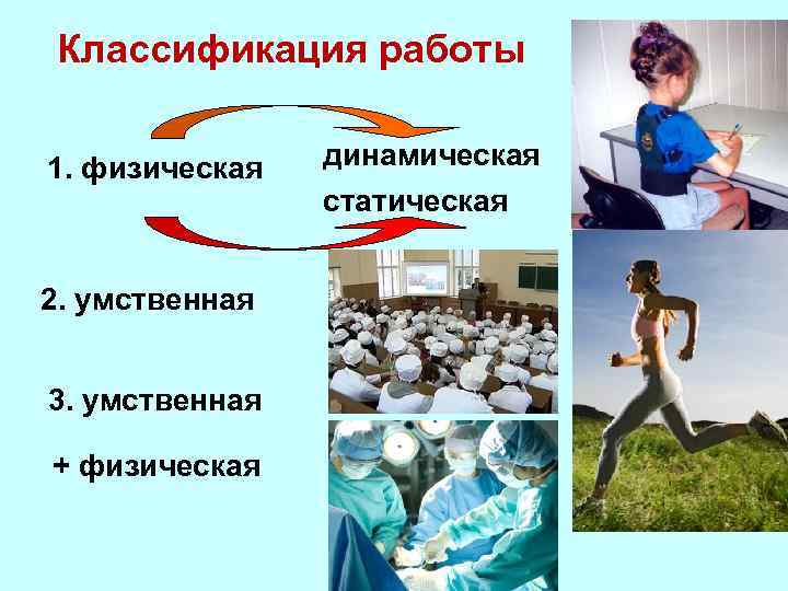 Классификация работы 1. физическая 2. умственная 3. умственная + физическая динамическая статическая 