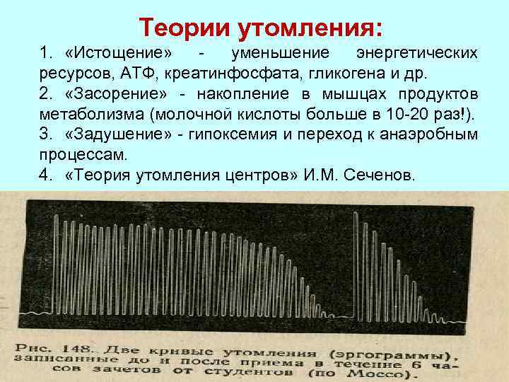 Теории утомления: 1. «Истощение» уменьшение энергетических ресурсов, АТФ, креатинфосфата, гликогена и др. 2. «Засорение»