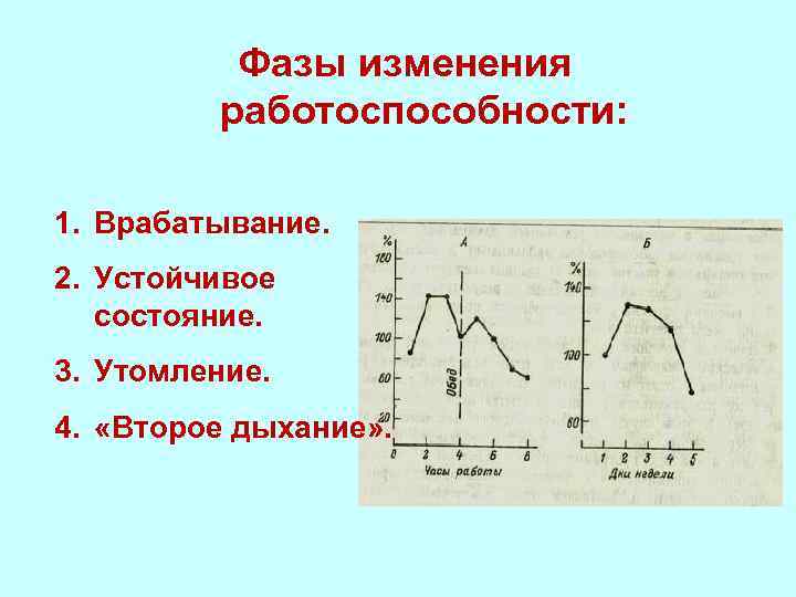 Фазы изменения работоспособности: 1. Врабатывание. 2. Устойчивое состояние. 3. Утомление. 4. «Второе дыхание» .