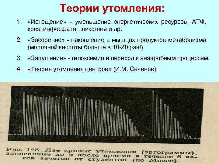 Теории утомления: 1. «Истощение» - уменьшение энергетических ресурсов, АТФ, креатинфосфата, гликогена и др. 2.