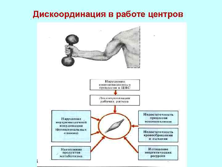 Дискоординация в работе центров 