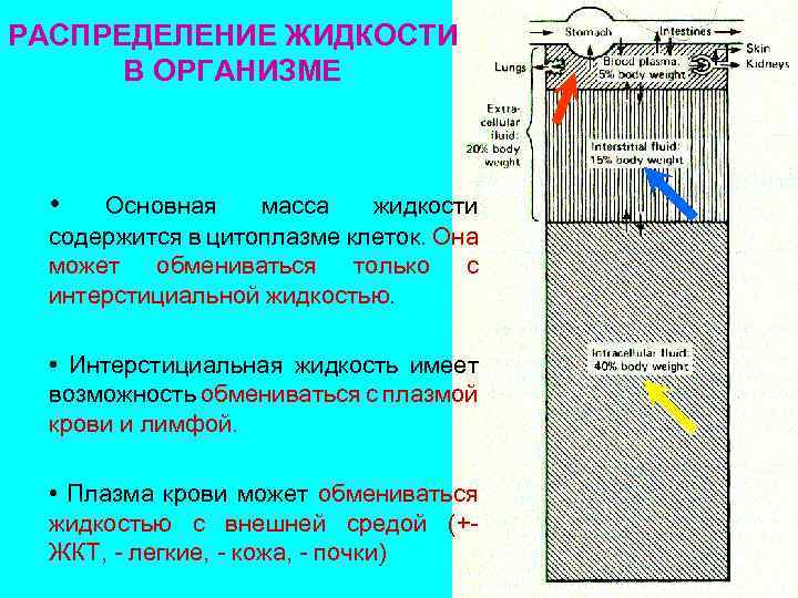 Распределить жидкости