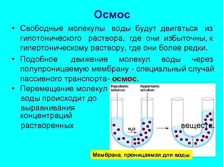 Осмос вещество