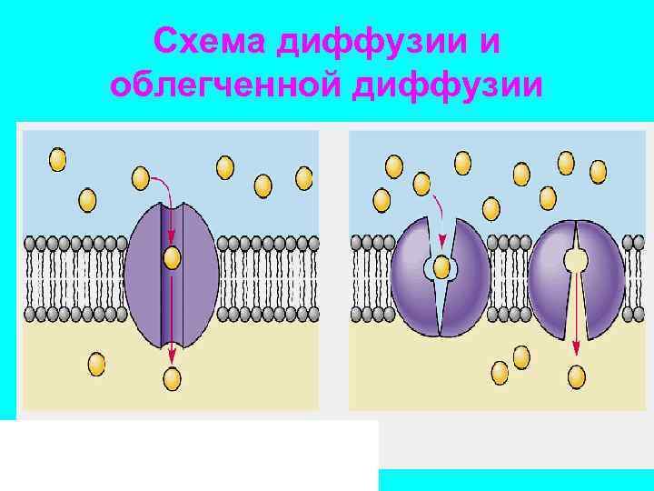 Простая диффузия