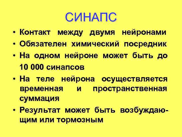 СИНАПС • • • Контакт между двумя нейронами Обязателен химический посредник На одном нейроне