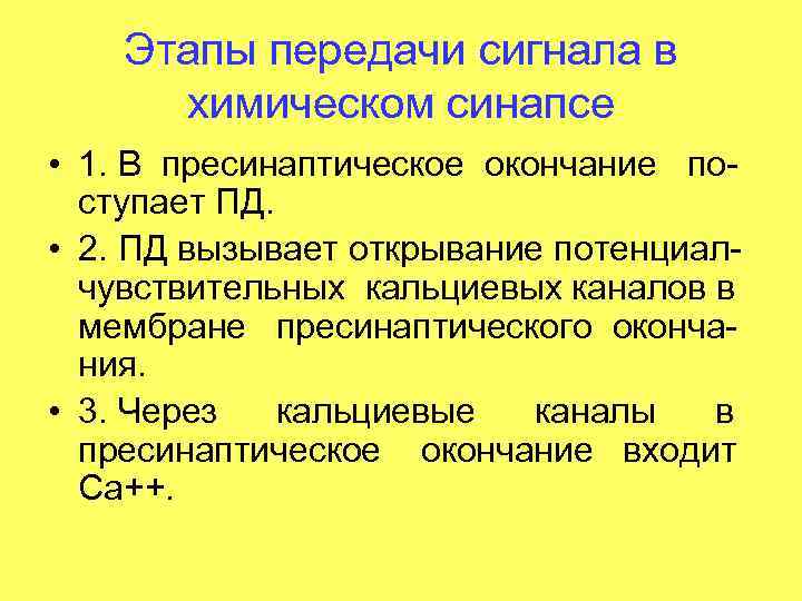 Этапы передачи сигнала в химическом синапсе • 1. В пресинаптическое окончание поступает ПД. •