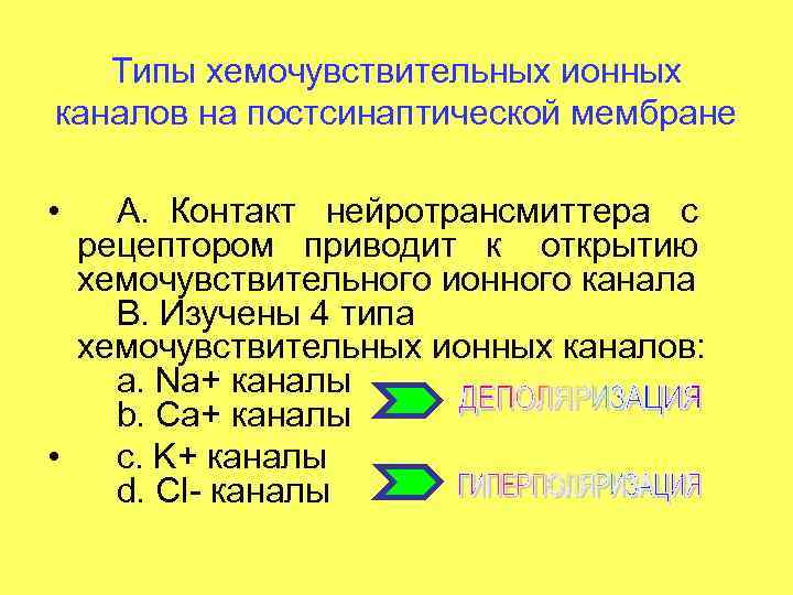 Типы хемочувствительных ионных каналов на постсинаптической мембране • A. Контакт нейротрансмиттера с рецептором приводит