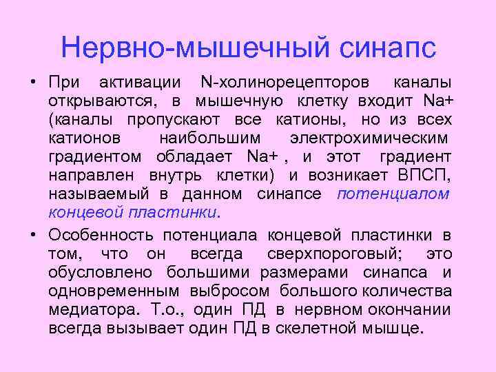 Нервно-мышечный синапс • При активации N-холинорецепторов каналы открываются, в мышечную клетку входит Nа+ (каналы