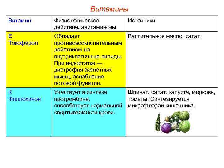 Витамины Витамин Физиологическое действие, авитаминозы Источники Е Токоферол Обладает противовоокислительным действием на внутриклеточные липиды.