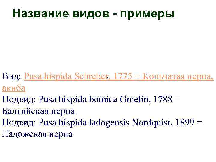 Название видов - примеры . Вид: Pusa hispida Schreber, 1775 = Кольчатая нерпа, акиба