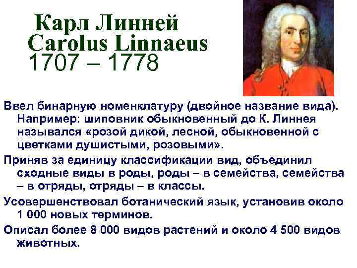 Карл Линней Carolus Linnaeus 1707 – 1778 Ввел бинарную номенклатуру (двойное название вида). Например: