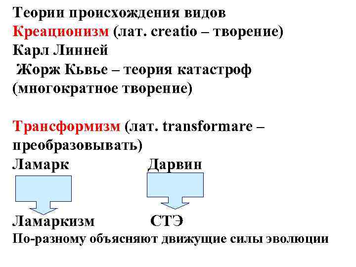 Теории происхождения видов Креационизм (лат. creatio – творение) Карл Линней Жорж Кьвье – теория