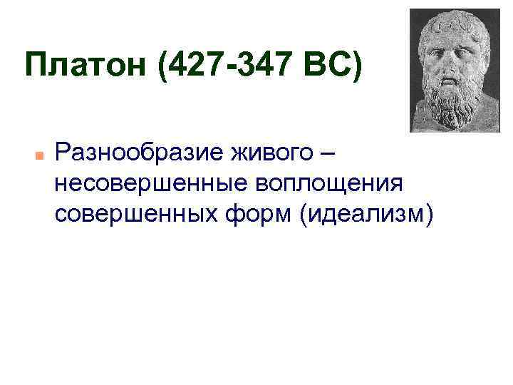 Платон (427 -347 BC) n Разнообразие живого – несовершенные воплощения совершенных форм (идеализм) 