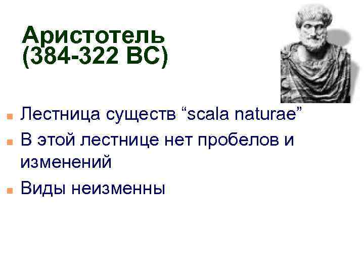 Аристотель (384 -322 BC) n n n Лестница существ “scala naturae” В этой лестнице