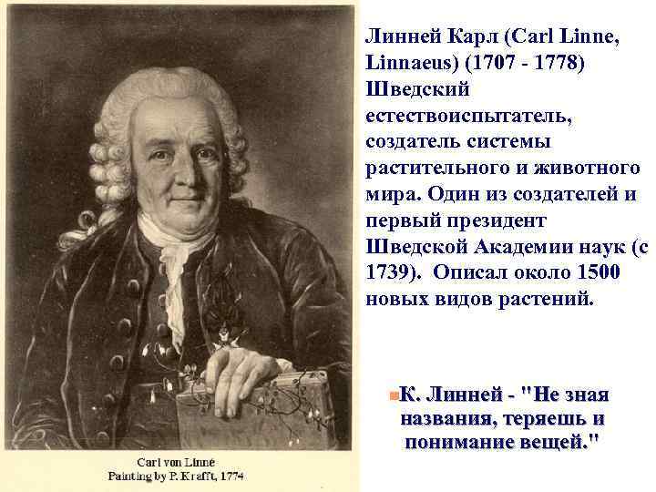 Линней Карл (Carl Linne, Linnaeus) (1707 - 1778) Шведский естествоиспытатель, создатель системы растительного и