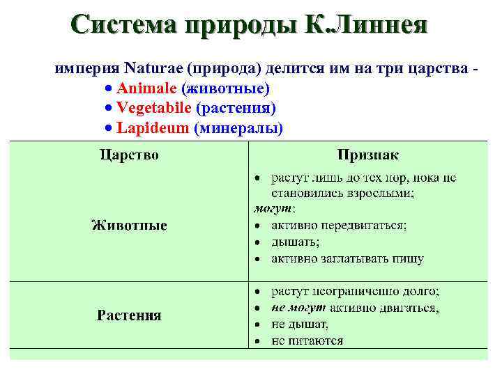 Новая система природы. Линней система природы. Система растений по Линнею. Карл Линней система природы. Система животных Линнея.