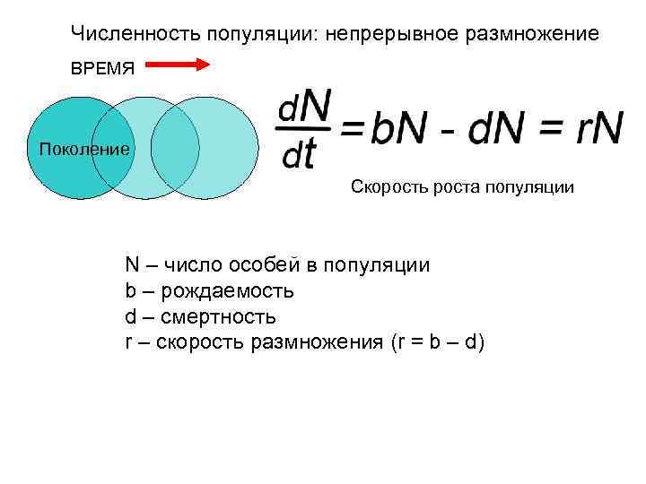Численность популяции: непрерывное размножение ВРЕМЯ Поколение Скорость роста популяции N – число особей в