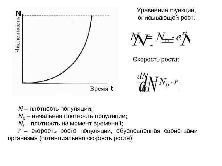 Функция роста