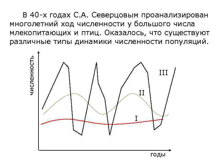 численность В 40 -х годах С. А. Северцовым проанализирован многолетний ход численности у большого