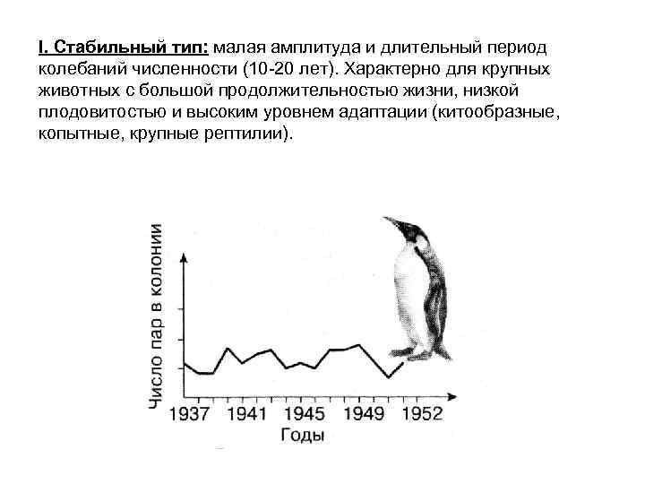 I. Стабильный тип: малая амплитуда и длительный период колебаний численности (10 -20 лет). Характерно