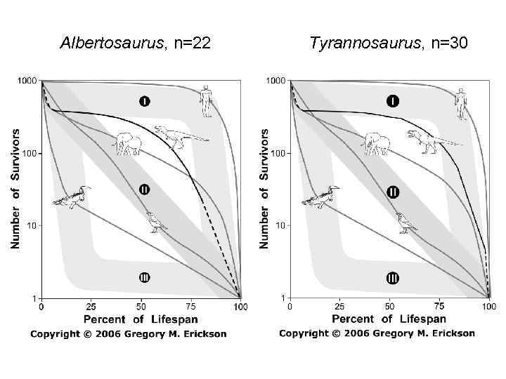 Albertosaurus, n=22 Tyrannosaurus, n=30 