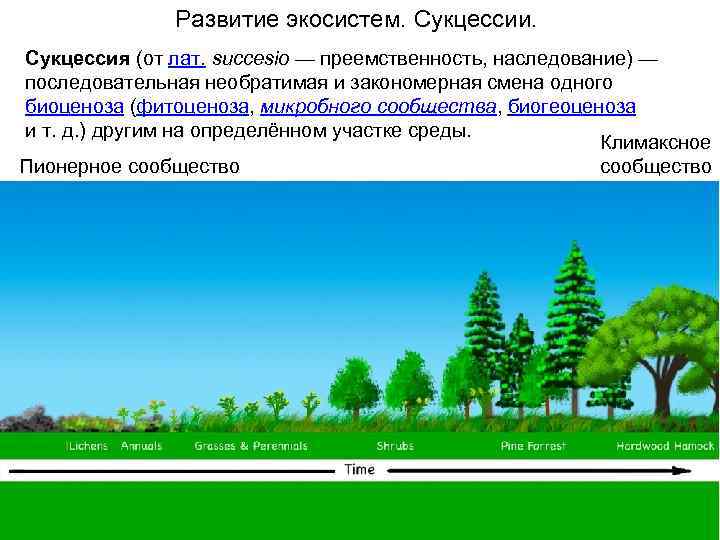 Развитие экосистем. Сукцессии. Сукцессия (от лат. succesio — преемственность, наследование) — последовательная необратимая и