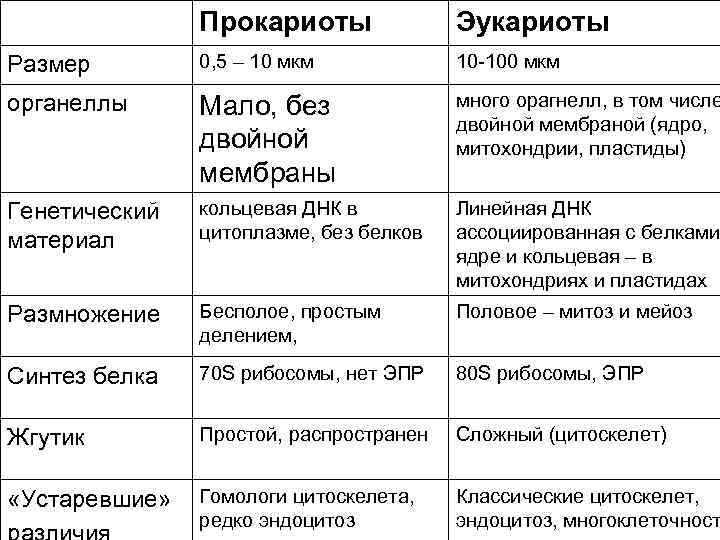 Особенности строения клеток эукариот и прокариот 9 класс презентация