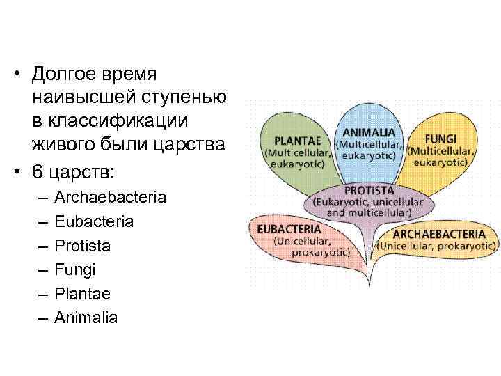  • Долгое время наивысшей ступенью в классификации живого были царства • 6 царств: