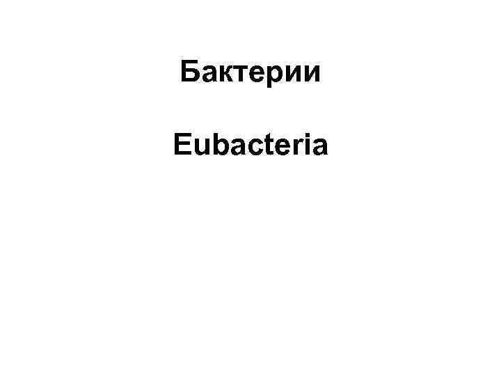 Бактерии Eubacteria 