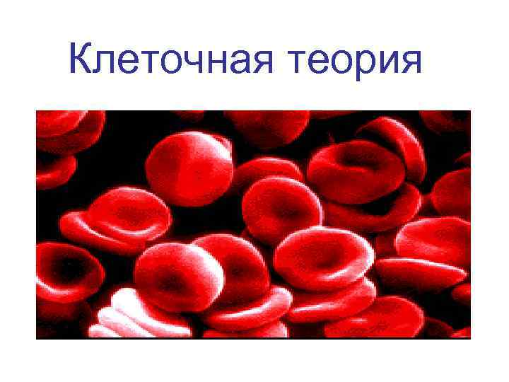 Клеточная теория 