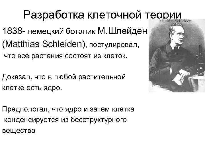 Разработка клеточной теории 1838 - немецкий ботаник М. Шлейден (Matthias Schleiden), постулировал, что все