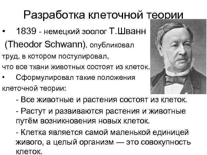 Разработка клеточной теории • 1839 - немецкий зоолог Т. Шванн (Theodor Schwann), опубликовал труд,