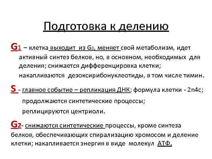 Подготовка к делению G 1 – клетка выходит из G 0, меняет свой метаболизм,
