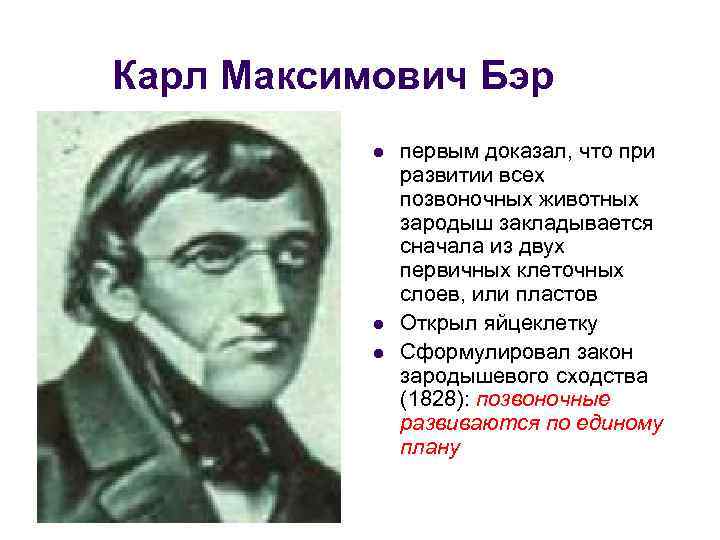 Карл Максимович Бэр l l l первым доказал, что при развитии всех позвоночных животных
