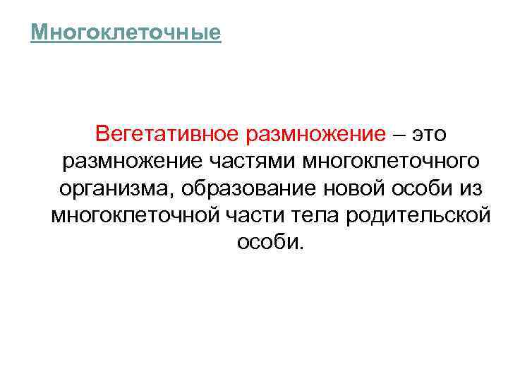 Многоклеточные Вегетативное размножение – это размножение частями многоклеточного организма, образование новой особи из многоклеточной