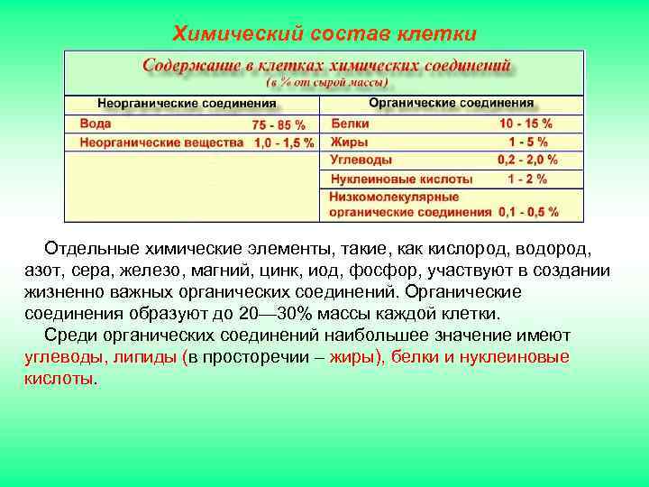 Химический состав клетки Отдельные химические элементы, такие, как кислород, водород, азот, сера, железо, магний,