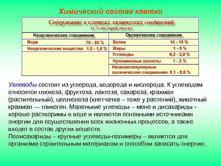 Химический состав клетки Углеводы состоят из углерода, водорода и кислорода. К углеводам относятся глюкоза,