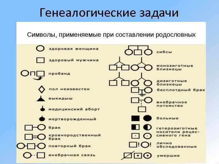 Генеалогические задачи 