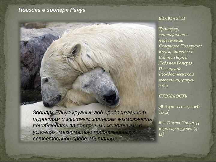 Поездка в зоопарк Рануа ВКЛЮЧЕНО Трансфер, сертификат о пересечении Северного Полярного Круга, билеты в